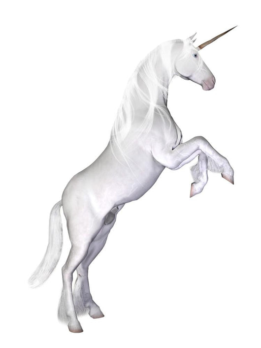 Unicorn White Wall Decal