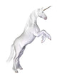 Unicorn White Wall Decal