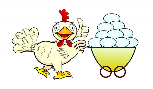 Chicken and Eggs Wall Mural
