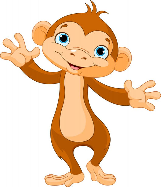 Baby Monkey