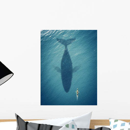 Whale below Sea Kayak Wall Decal