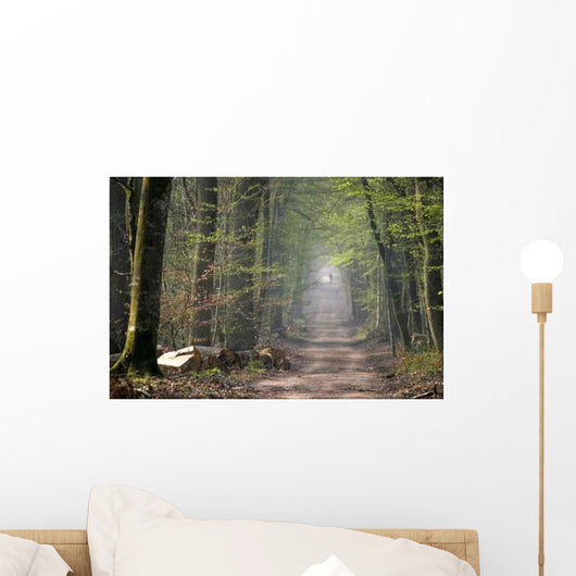 Chemin Dans Une Foret Wall Decal