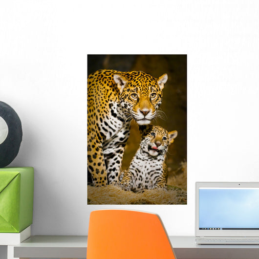 Jaguar Cubs