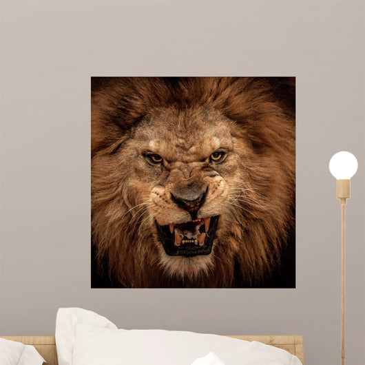 Close-Up Shot of Roaring Lion Wall Mural