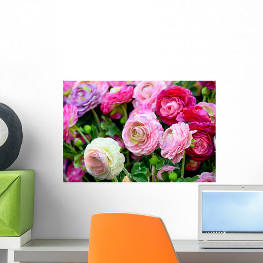 Pink Peonies