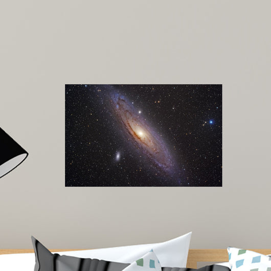 Andromeda Galaxy Wall Mural