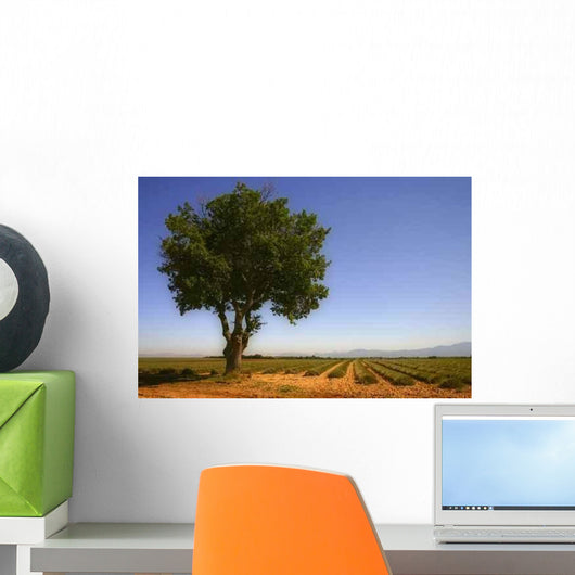 Provence 3 Wall Decal