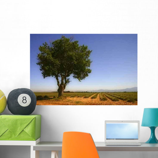 Provence 3 Wall Decal