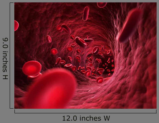 3D Rendered Illustration Blood