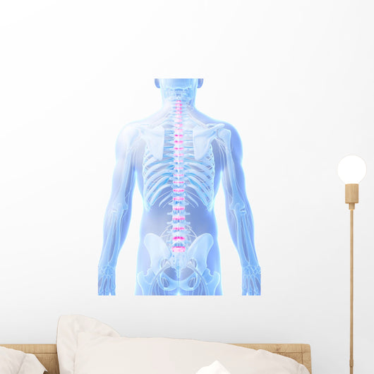 3D Rendered Illustration Intervertebral