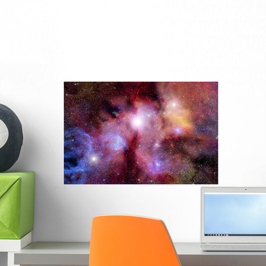 Stellar field with nebulae Wall Mural