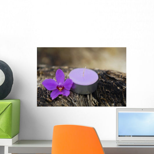 Spa and Healthcare Concept-orchid