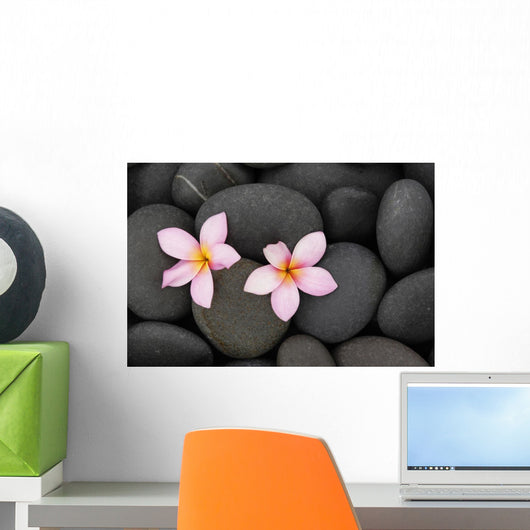 Pebbles and Two Frangipani Wall Mural