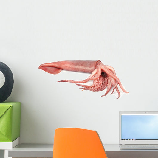nice fresh squid Wall Decal