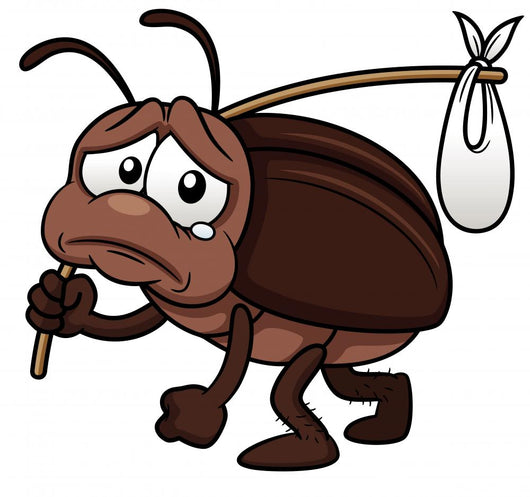 illustration of cockroach cartoon get out Wall Decal