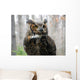 Great Horned Owl Wall Mural