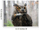 Great Horned Owl Wall Mural