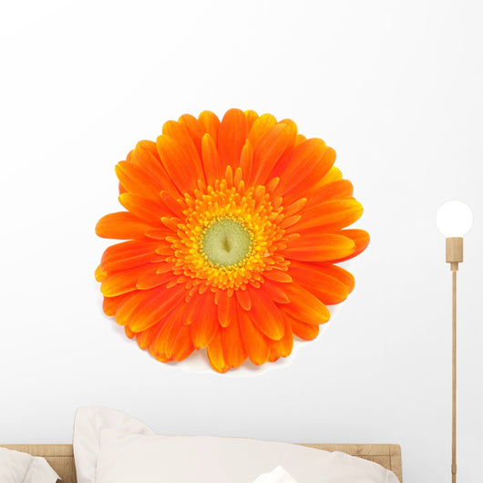 Gerbera Daisy Wall Decal