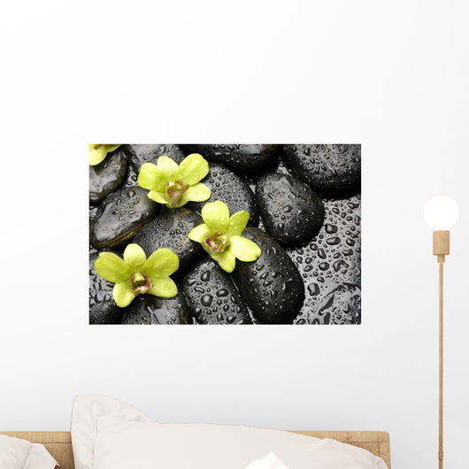 Set Green Orchid Black