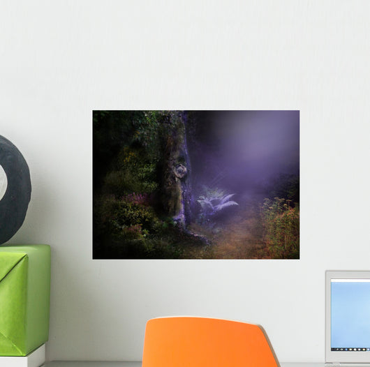 Magical Night Forest