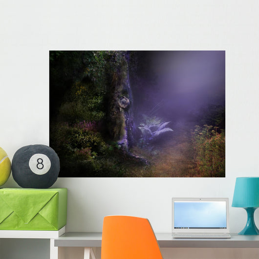 Magical Night Forest
