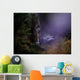 Magical Night Forest