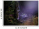 Magical Night Forest