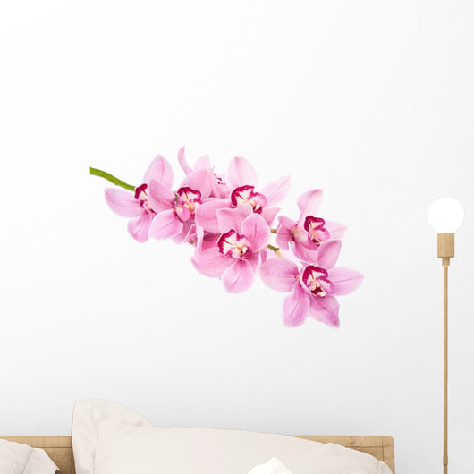Pink Orchid Flowers Wall Decal