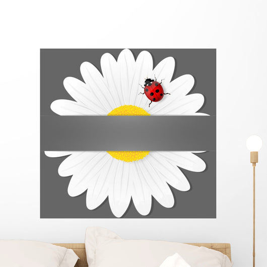 Chamomile flower and ladybird isolated on grey background. Wall Mural