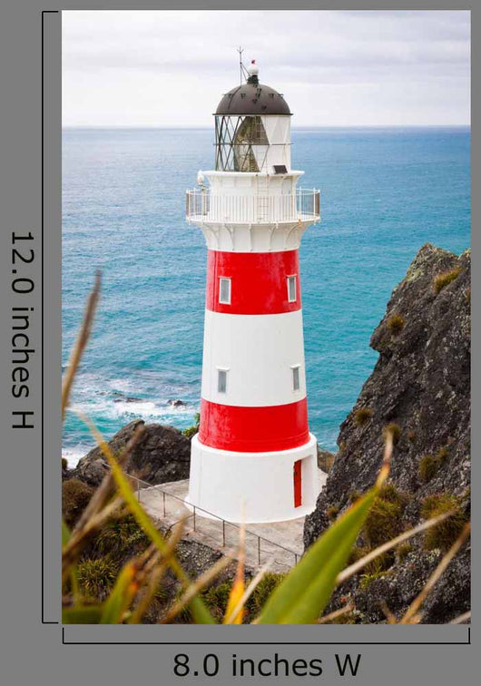 Lighthouse Cape Palliser New