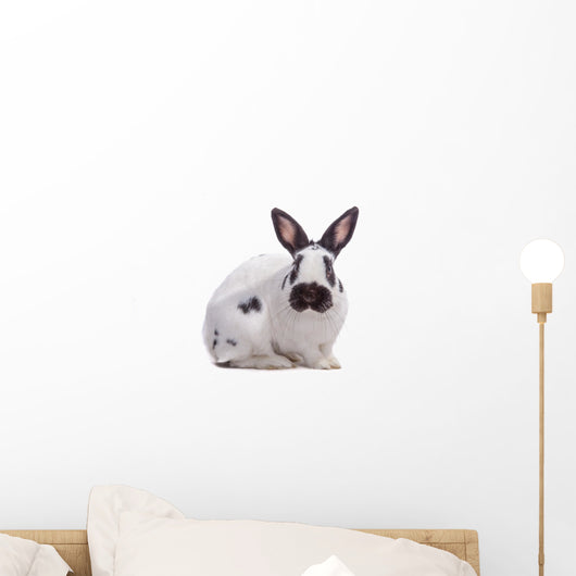 Optional Sw Rabbit
