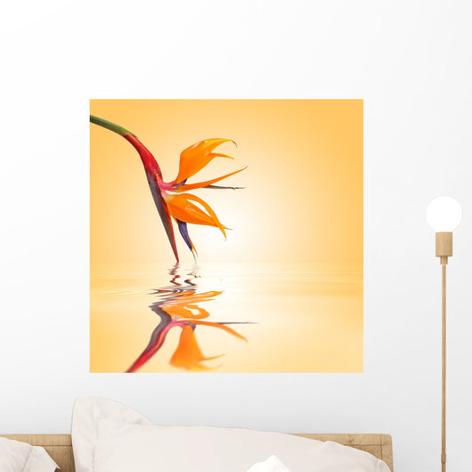 Bird of paradise, orange background Wall Mural
