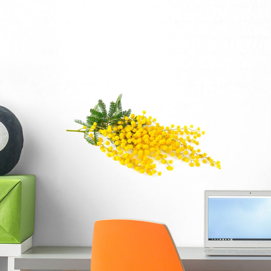 Twig of mimosa flowers Wall Decal
