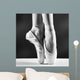 Photo Ballerinas Pointes Black