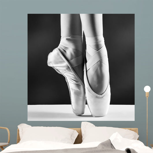Photo Ballerinas Pointes Black