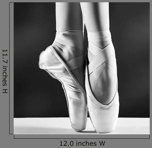 Photo Ballerinas Pointes Black