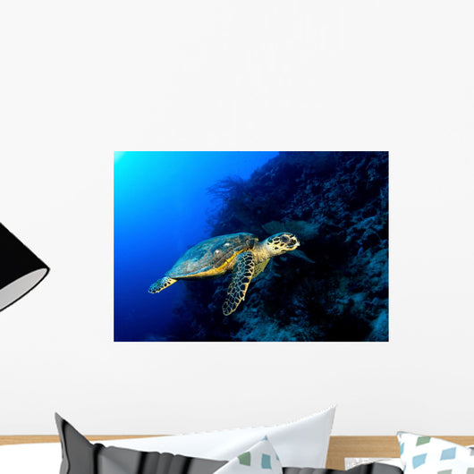 Hawksbill Turtle Deep Blue
