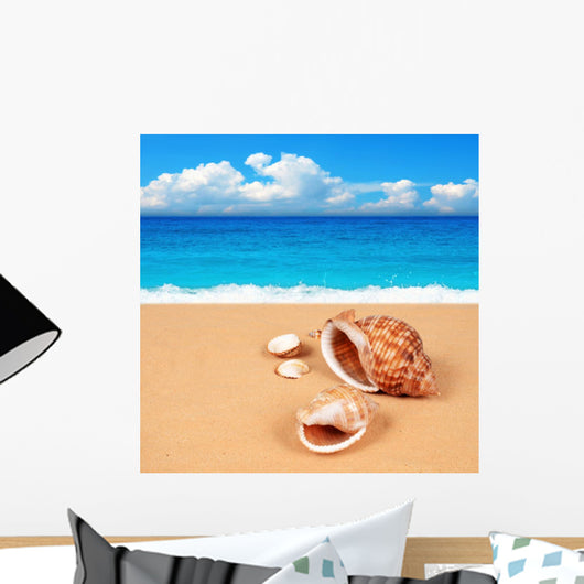 Shell Sandy Beach