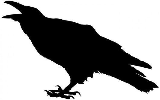 Cawing raven Wall Decal