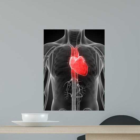3D Rendered Illustration Human