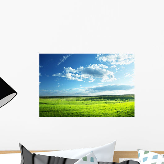 Field Spring Grass and