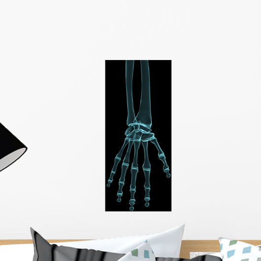 radiograph hand Wall Mural