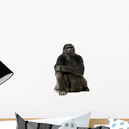 Young Silverback Gorilla Wall Decal