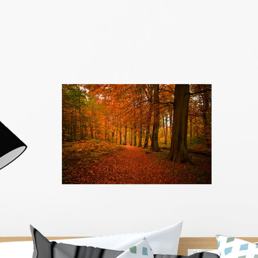 Autumn Forest Wall Decal