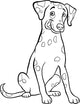 dalmatian dog cartoon for coloring book Wall Decal