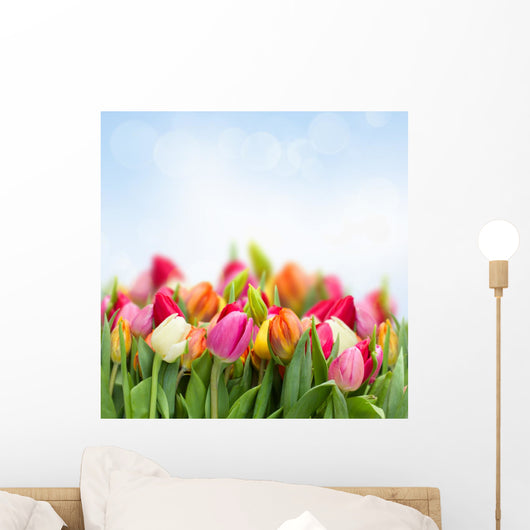 Tulips Garden
