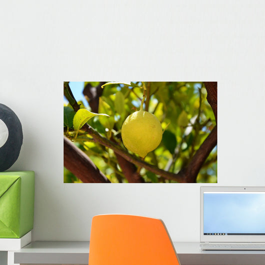 Lemon Wall Mural