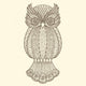 Decorative Owl