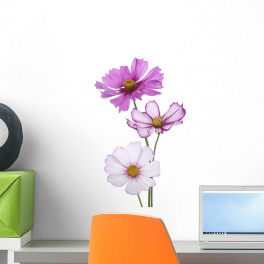 cosmos flower Wall Decal