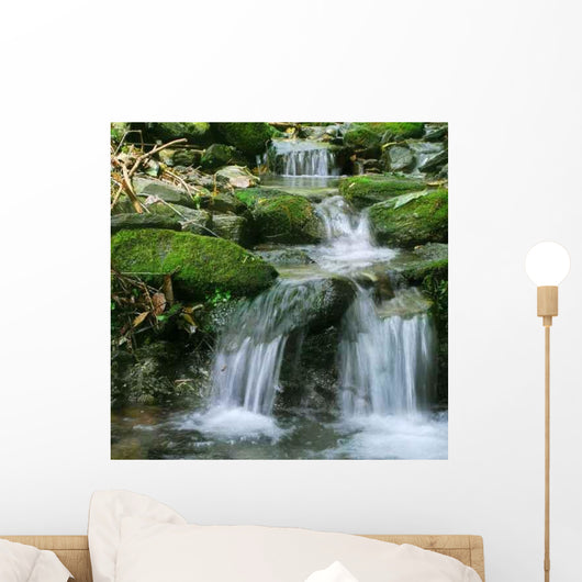 Fresh Forest Scene Wall Decal